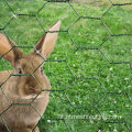 Rete esagonale con rete da pollo zincato galvanizzato Fence